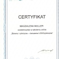 Powiększ obraz: certificate 26