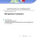 Powiększ obraz: certificate 12