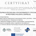 Powiększ obraz: certificate 6