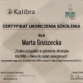 Powiększ obraz: certificate 1