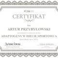 Powiększ obraz: certificate 31