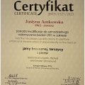 Powiększ obraz: certificate 1