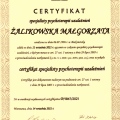 Powiększ obraz: certificate 2