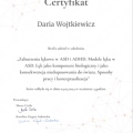 Powiększ obraz: certificate 4