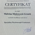 Powiększ obraz: certificate 2