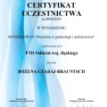 Powiększ obraz: certificate 11