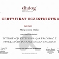 Powiększ obraz: certificate 1