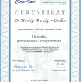 Powiększ obraz: certificate 1