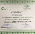 Powiększ obraz: certificate 22