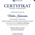 Powiększ obraz: certificate 3