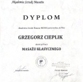 Powiększ obraz: certificate 12