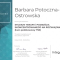 Powiększ obraz: certificate 2