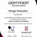 Powiększ obraz: certificate 7