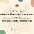 Powiększ obraz: certificate 10