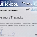 Powiększ obraz: certificate 4