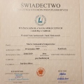 Powiększ obraz: certificate 1