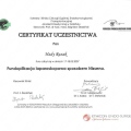 Powiększ obraz: certificate 55