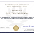 Powiększ obraz: certificate 14