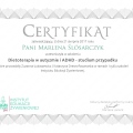 Powiększ obraz: certificate 7