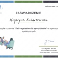 Powiększ obraz: certificate 5