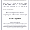 Powiększ obraz: certificate 6