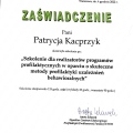 Powiększ obraz: certificate 12
