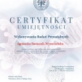 Powiększ obraz: certificate 10
