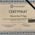 Powiększ obraz: certificate 1