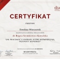 Powiększ obraz: certificate 8