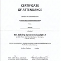 Powiększ obraz: certificate 3