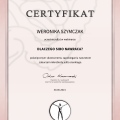 Powiększ obraz: certificate 4