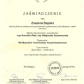 Powiększ obraz: certificate 3