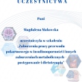 Powiększ obraz: certificate 13