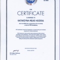 Powiększ obraz: certificate 4