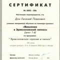 Powiększ obraz: certificate 9