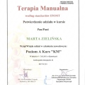 Powiększ obraz: certificate 10