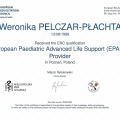 Powiększ obraz: certificate 2