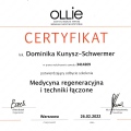 Powiększ obraz: certificate 1