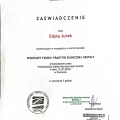 Powiększ obraz: certificate 4