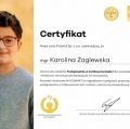 Powiększ obraz: certificate 7