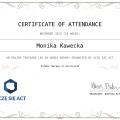 Powiększ obraz: certificate 12