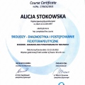 Powiększ obraz: certificate 2