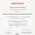 Powiększ obraz: certificate 23