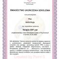 Powiększ obraz: certificate 8