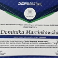 Powiększ obraz: certificate 3