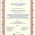 Powiększ obraz: certificate 9