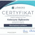 Powiększ obraz: certificate 8