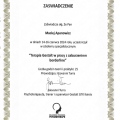 Powiększ obraz: certificate 3