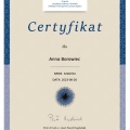 Powiększ obraz: certificate 2