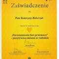 Powiększ obraz: certificate 4